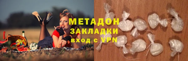 прущие грибы Наволоки