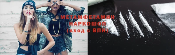прущие грибы Наволоки