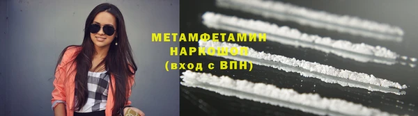 прущие грибы Наволоки