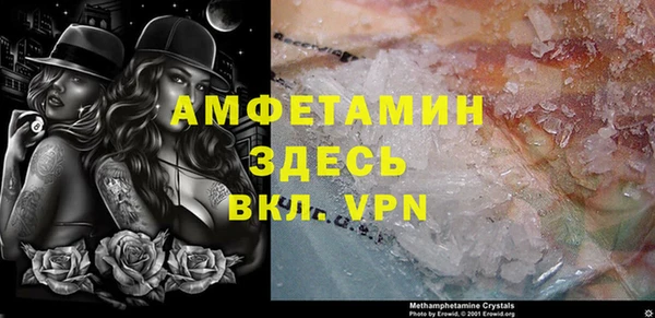 прущие грибы Наволоки