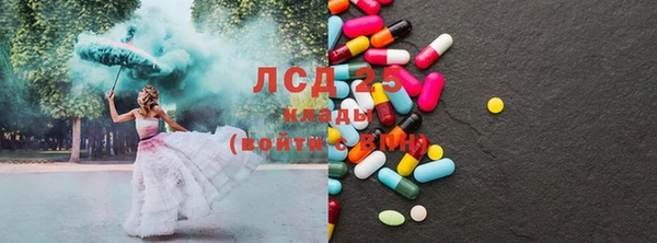 прущие грибы Наволоки